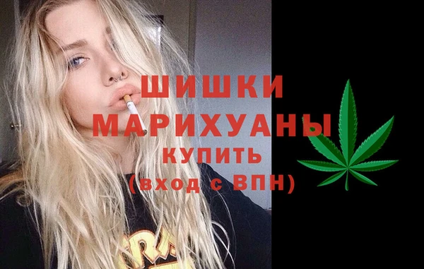 тгк Алзамай