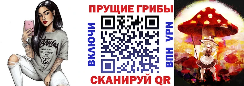 Галлюциногенные грибы Psilocybine cubensis  Себеж 